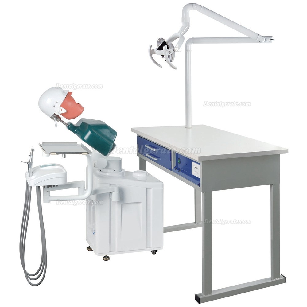 Jingle JG-A1 Phantomkopf Zahnmedizin-Patientensimulator Dentale Simulationseinheiten